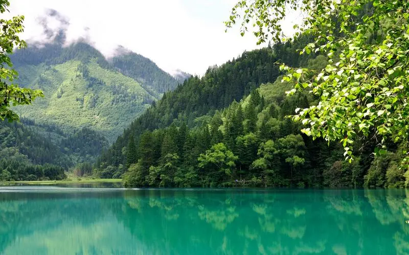 高端智能高端